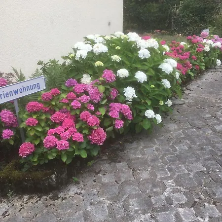 Ferienwohnung Loretta Traben-Trarbach Exterior photo
